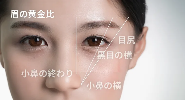 眉の黄金比。小鼻の終わり・小鼻の横・黒目の横・目尻を結ぶ線を示した図