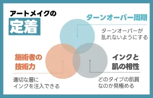 アートメイクの定着はターンオーバー周期・施術者の技術力・インクと肌の相性で決まることを示した図